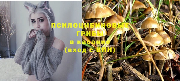амфетамин Алексин